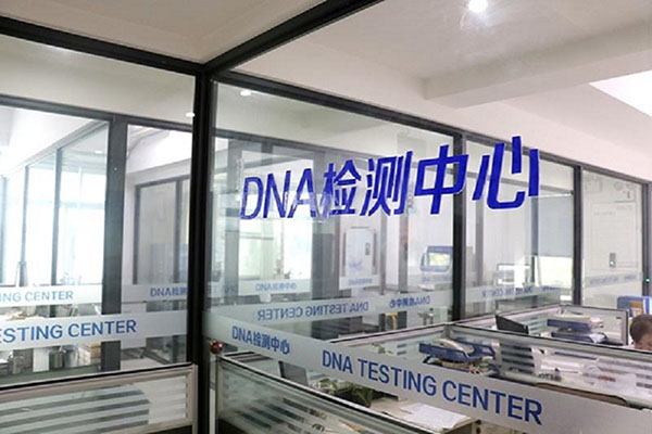 南京洗过的内裤能做DNA吗（解密科学家如何从洗过的内裤中提取DNA） 